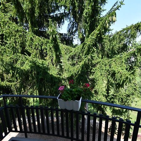 Apartmani Zagi Rakovica Bagian luar foto