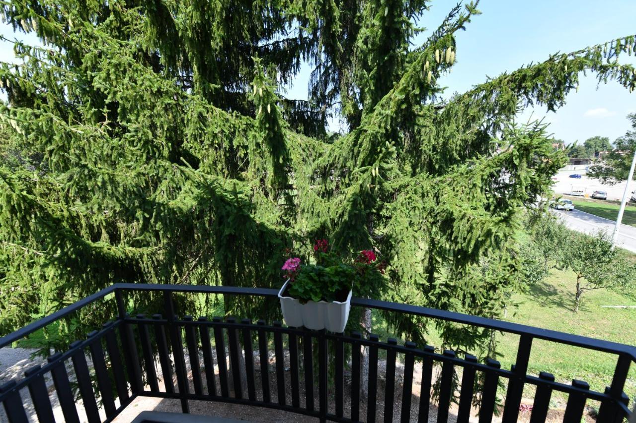 Apartmani Zagi Rakovica Bagian luar foto